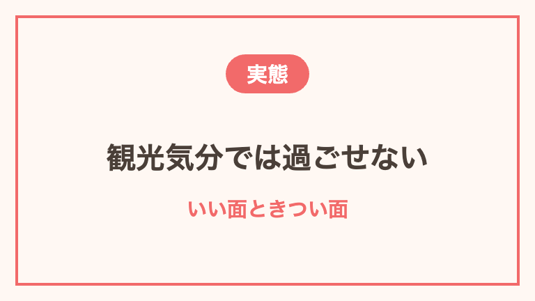 ツアーナースは楽しそうは本当か